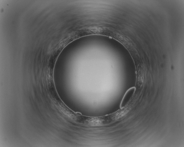 X0000067480518200604071142