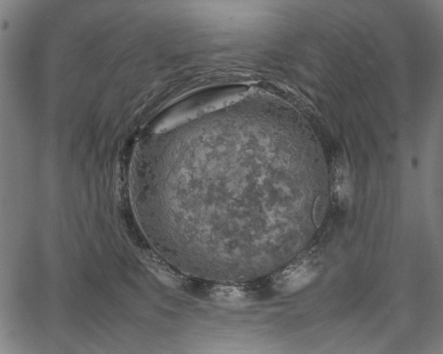 X0000067480519200604071142