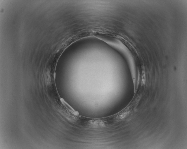 X0000067480520200604071142