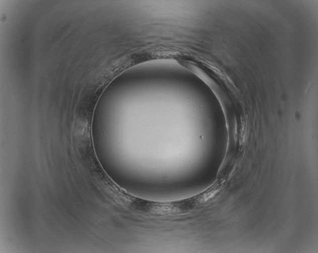 X0000067480521200604071142