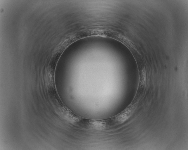 X0000067480522200604071142