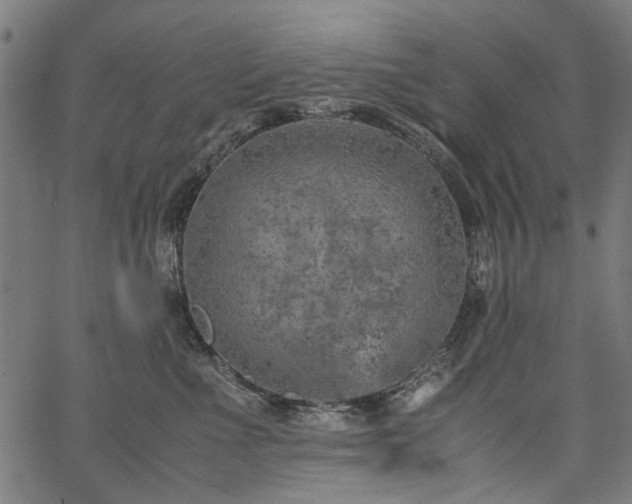 X0000067480523200604071142