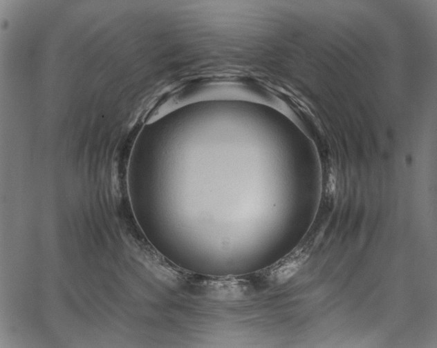 X0000067480524200604071142