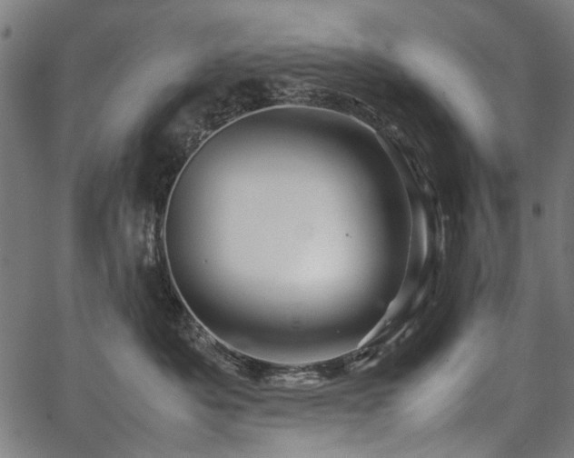 X0000067480525200604071142