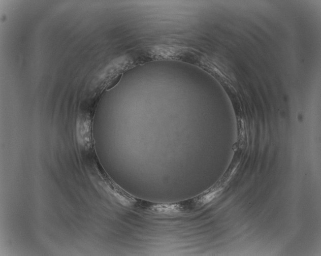 X0000067480526200604071142