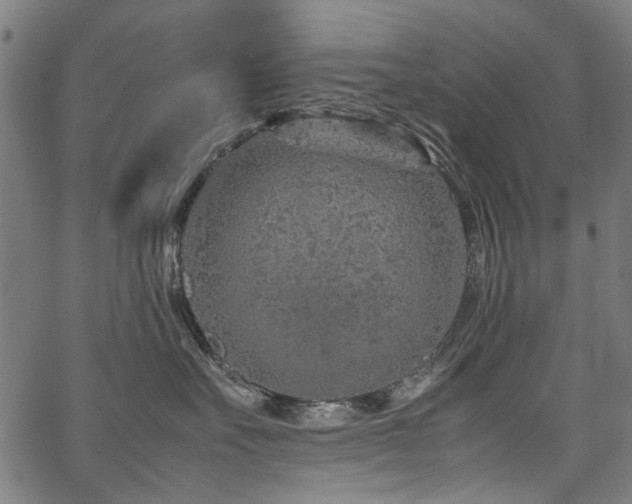 X0000067480527200604071142