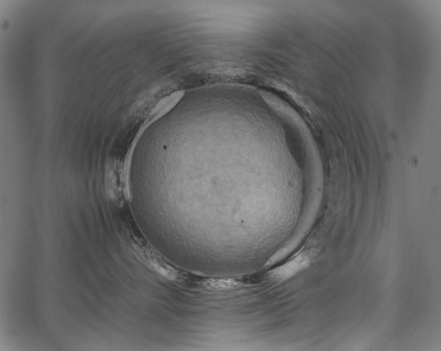 X0000067480528200604071142