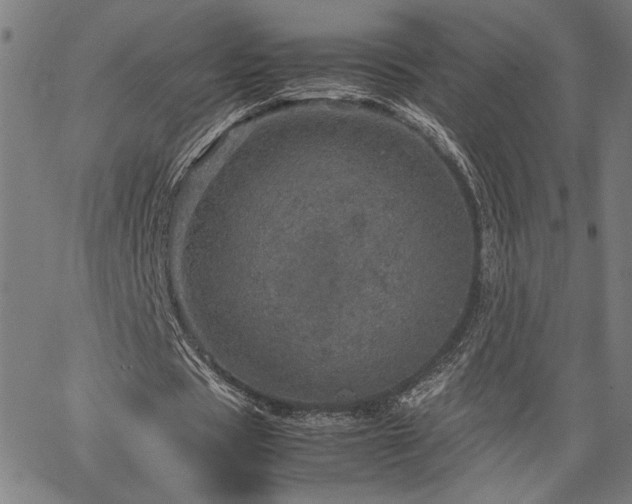 X0000067480529200604071141