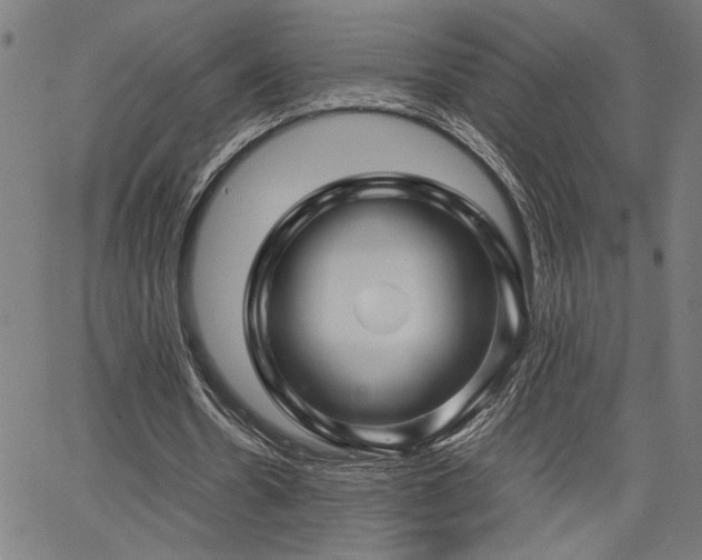 X0000067480530200604071141