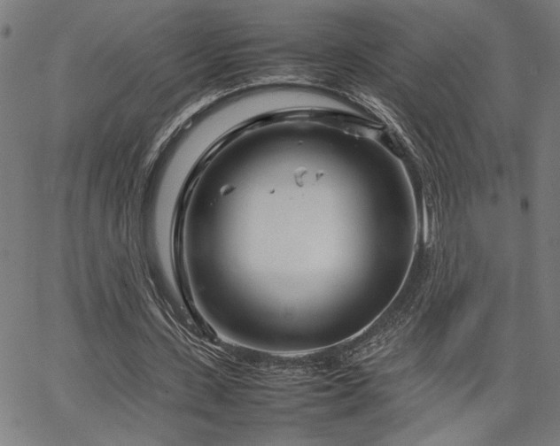 X0000067480531200604071141