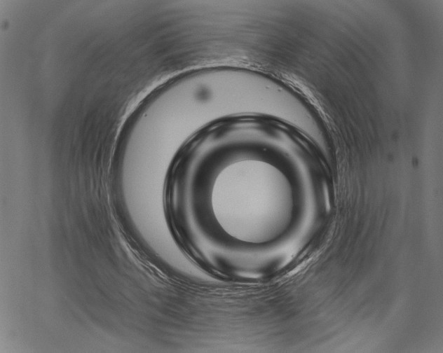 X0000067480532200604071141