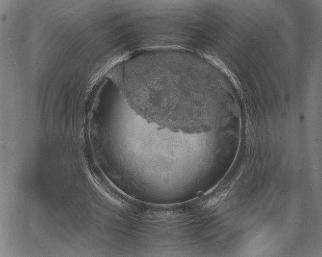 X0000067480533200604071141