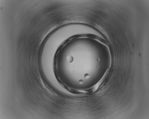 X0000067480534200604071141