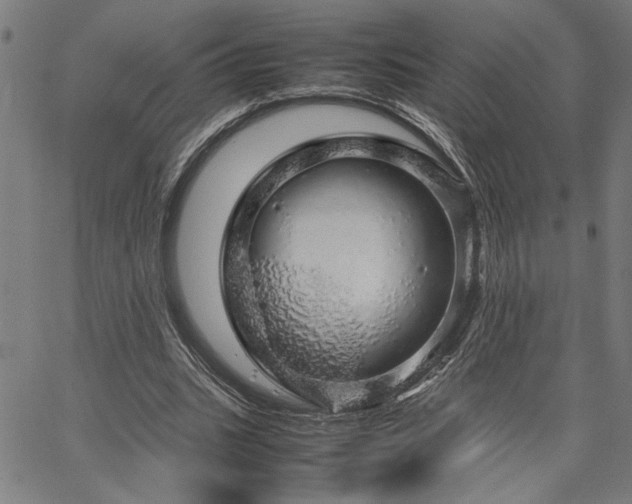 X0000067480535200604071141