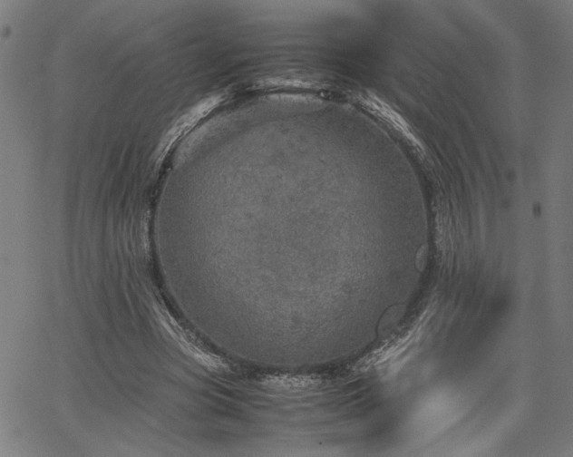 X0000067480537200604071141