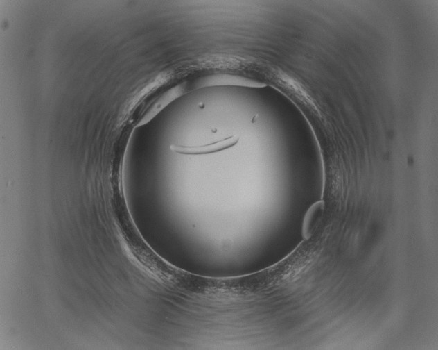 X0000067480538200604071141