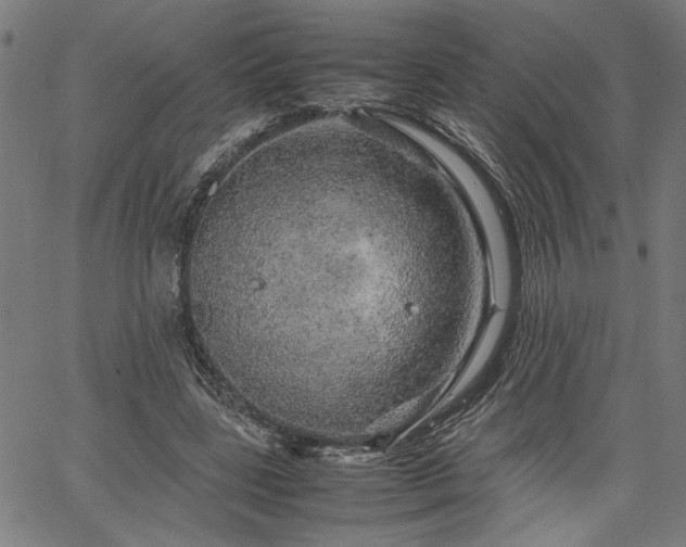 X0000067480539200604071141