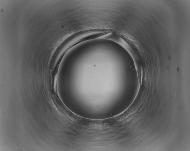 X0000067480540200604071141