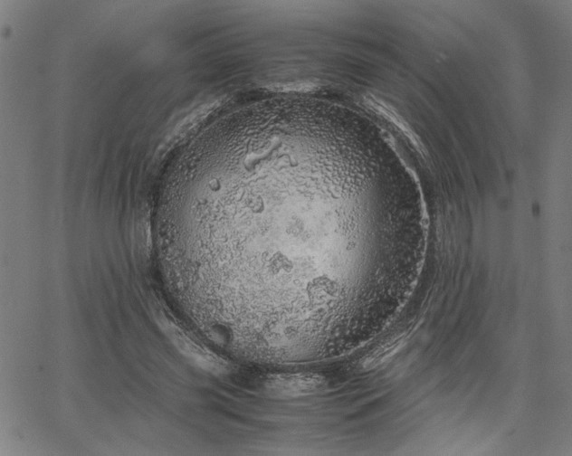 X0000067480541200604071141