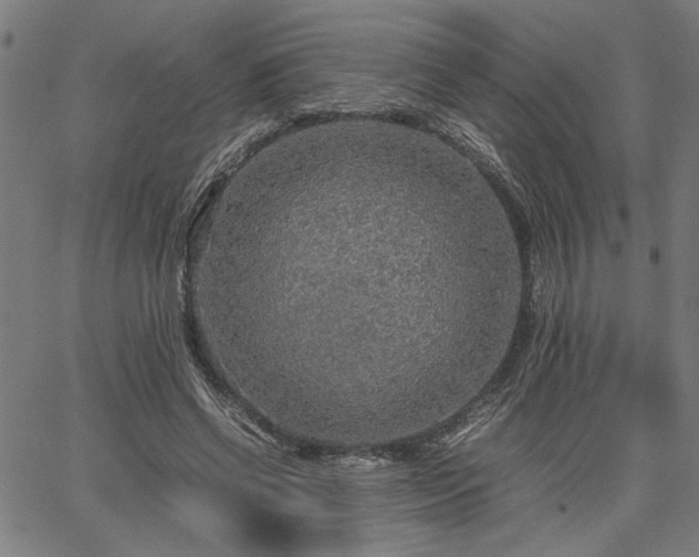 X0000067480542200604071141