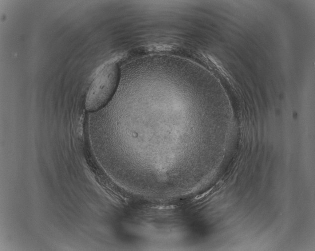 X0000067480543200604071141