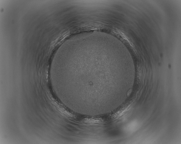 X0000067480545200604071141