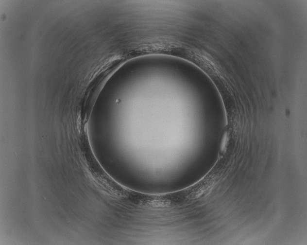 X0000067480546200604071141