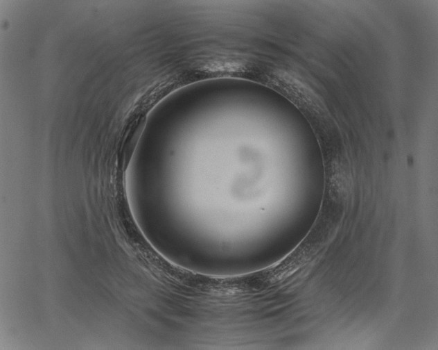 X0000067480547200604071141