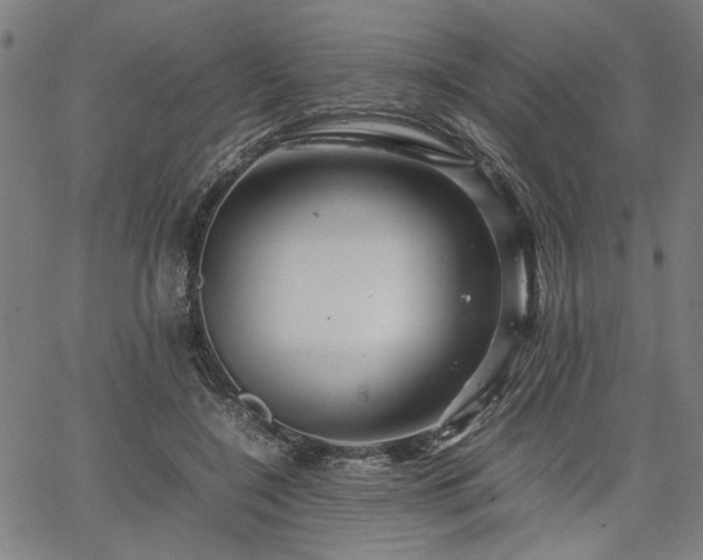 X0000067480548200604071141