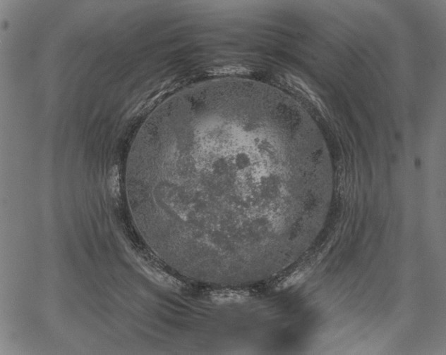 X0000067480549200604071141