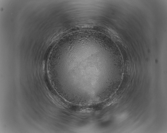 X0000067480550200604071141