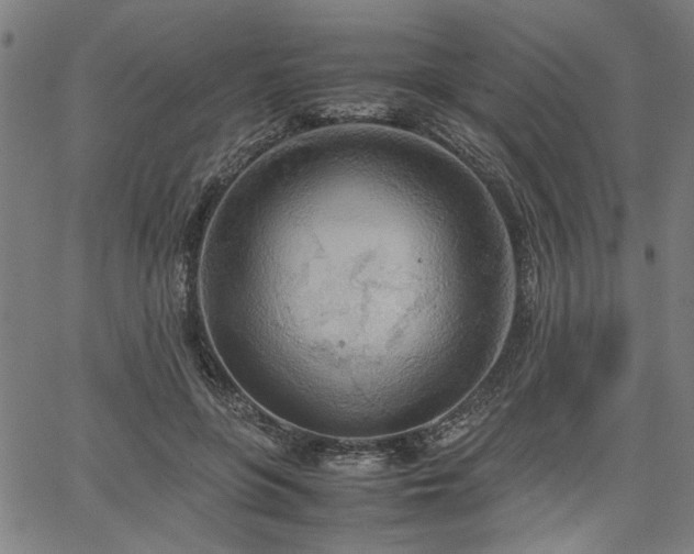 X0000067480551200604071141