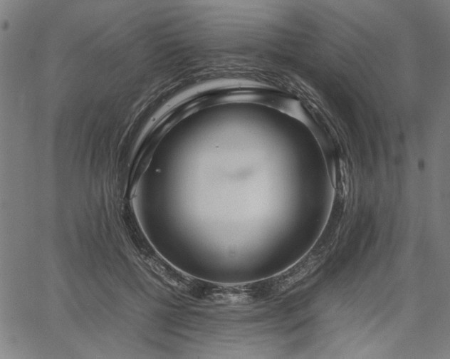 X0000067480552200604071141