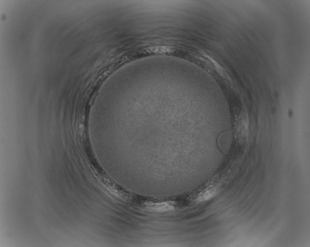 X0000067480553200604071141