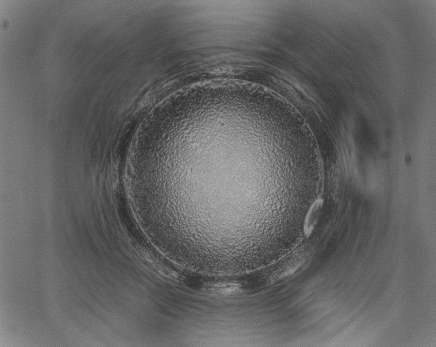 X0000067480554200604071141