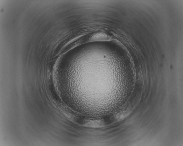 X0000067480555200604071141