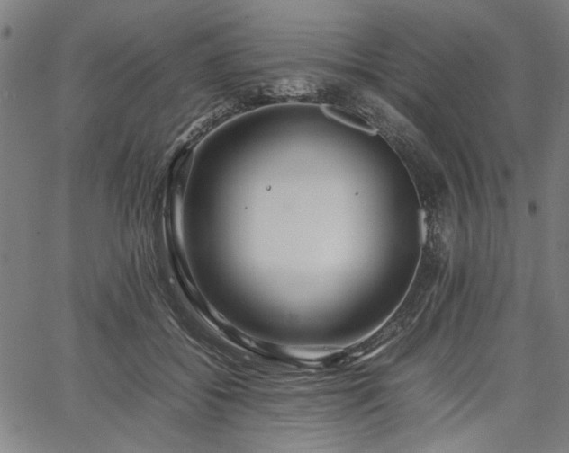 X0000067480556200604071141