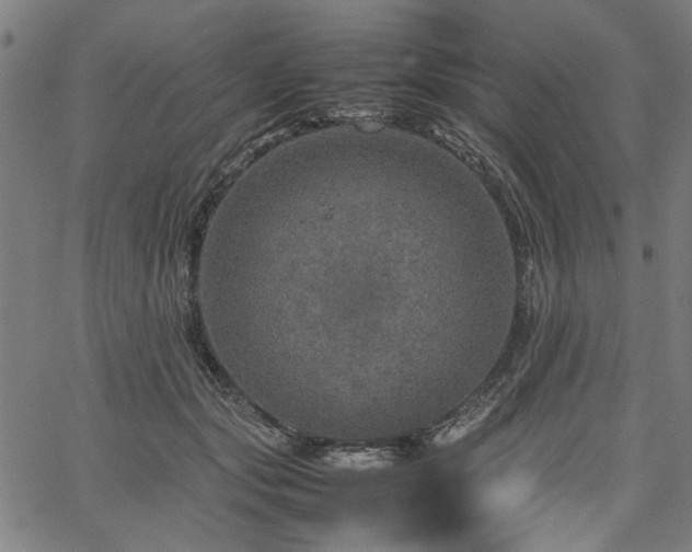 X0000067480557200604071141