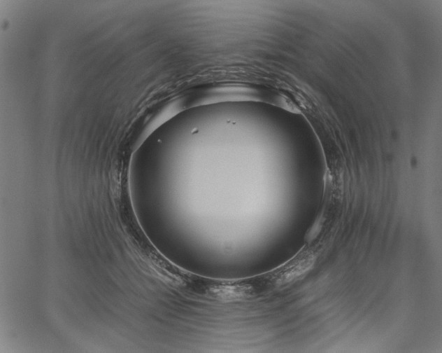 X0000067480558200604071141