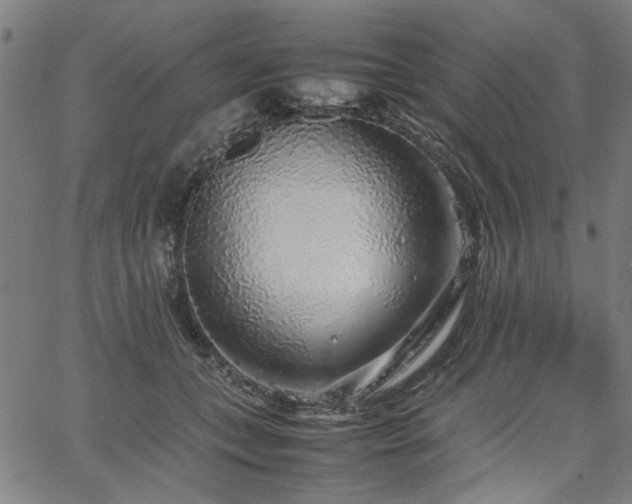 X0000067480559200604071141