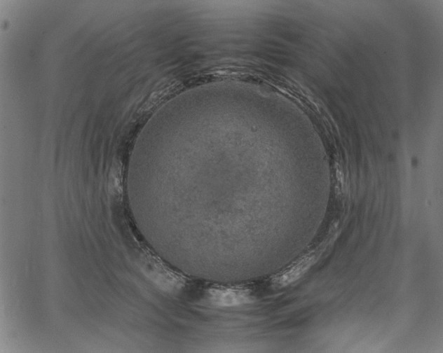 X0000067480561200604071142