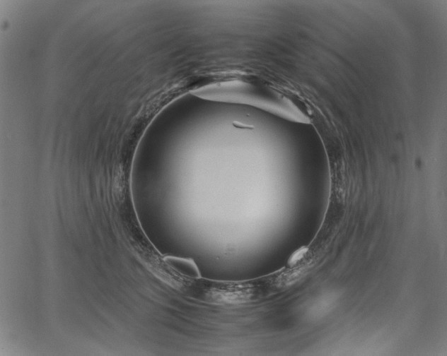 X0000067480563200604071142