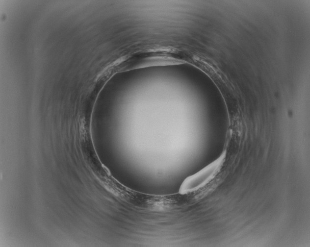 X0000067480564200604071142