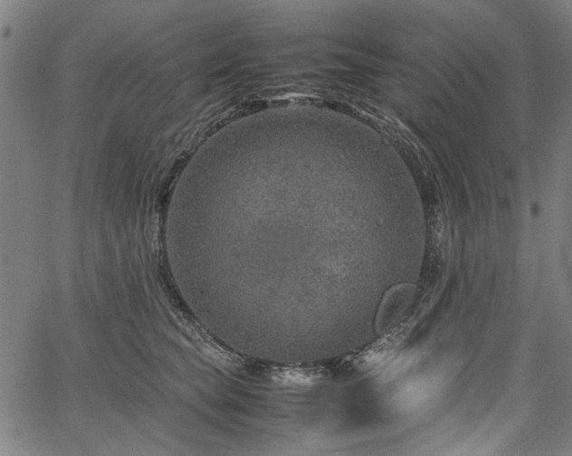 X0000067480565200604071142