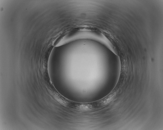 X0000067480566200604071142