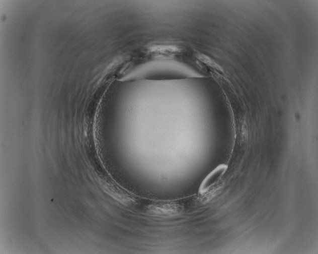 X0000067480567200604071142