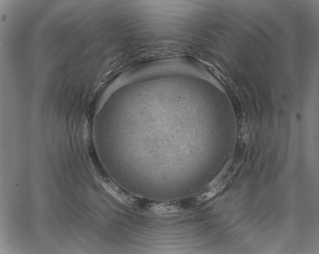 X0000067480568200604071142