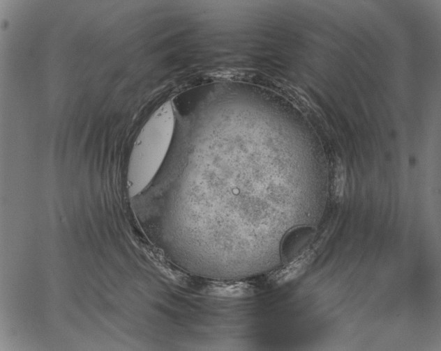 X0000067480569200604071142