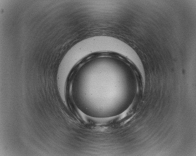 X0000067480570200604071142