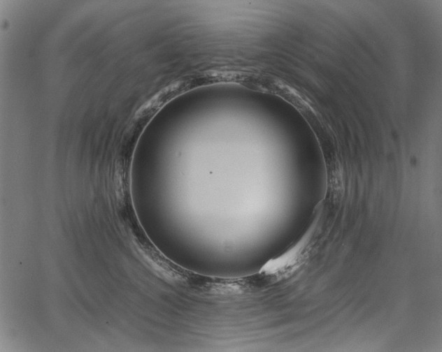 X0000067480572200604071142